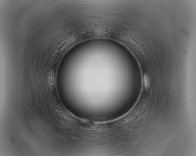 X0000113611107200909181413