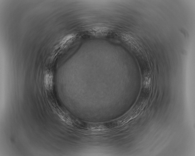X0000113611108200909181413
