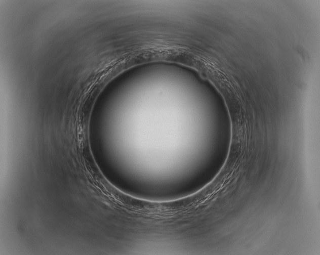 X0000113611109200909181413