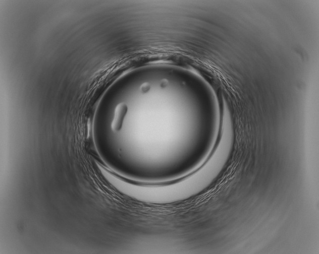 X0000113611110200909181413