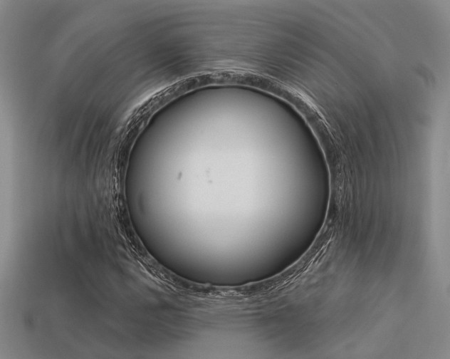 X0000113611112200909181413