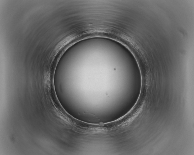 X0000113611113200909181413