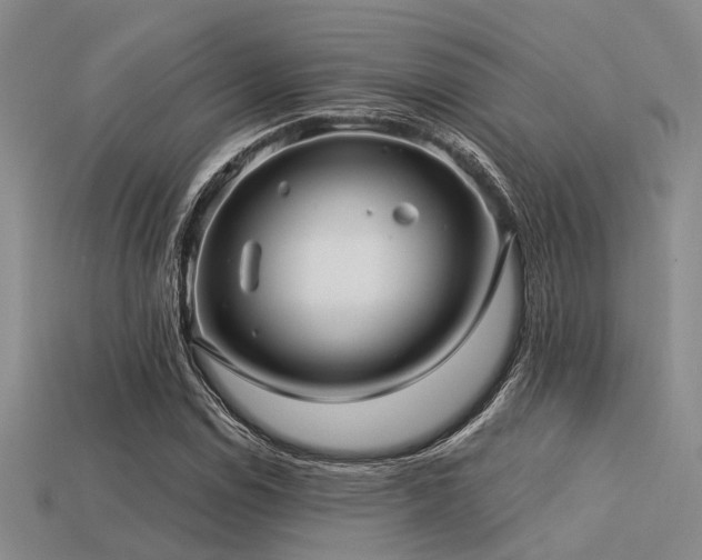 X0000113611114200909181413