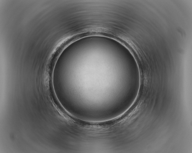 X0000113611115200909181413