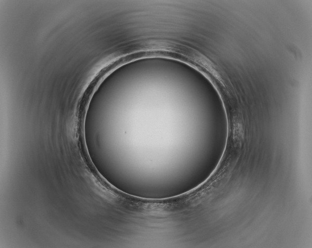 X0000113611116200909181413
