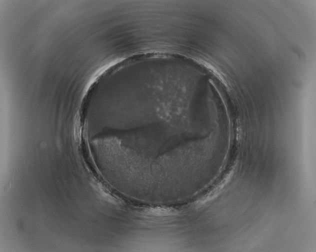 X0000113611117200909181413