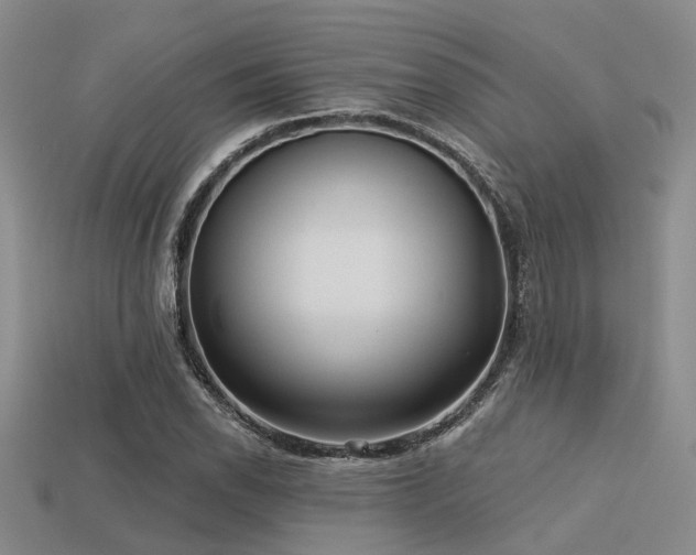X0000113611118200909181413