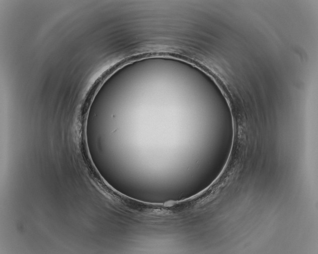 X0000113611119200909181413
