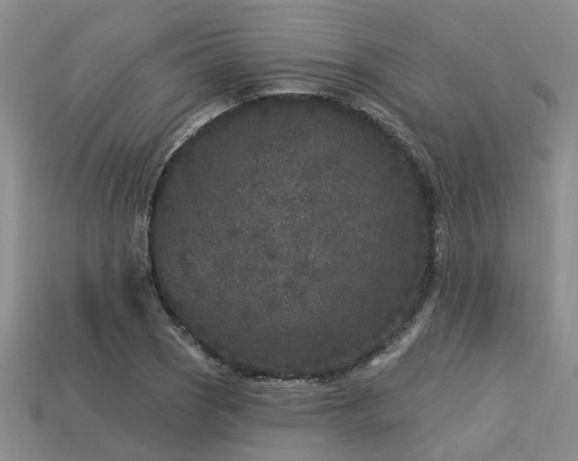 X0000113611121200909181413