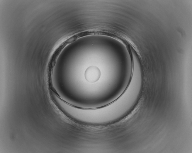X0000113611122200909181413