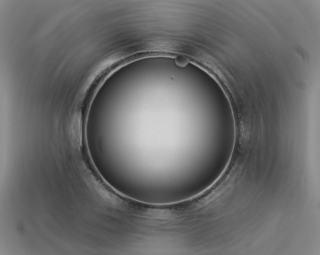X0000113611123200909181413