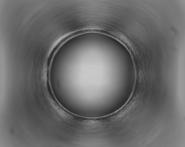 X0000113611124200909181413