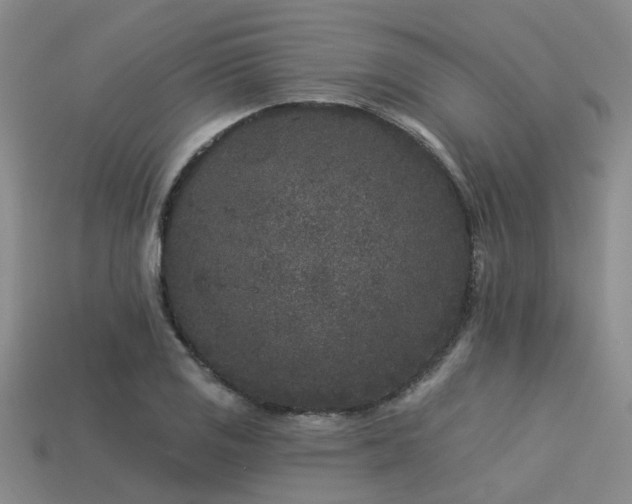 X0000113611125200909181413