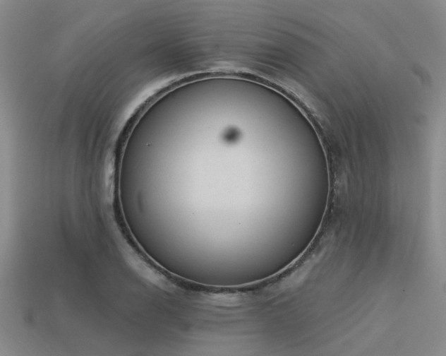 X0000113611126200909181413