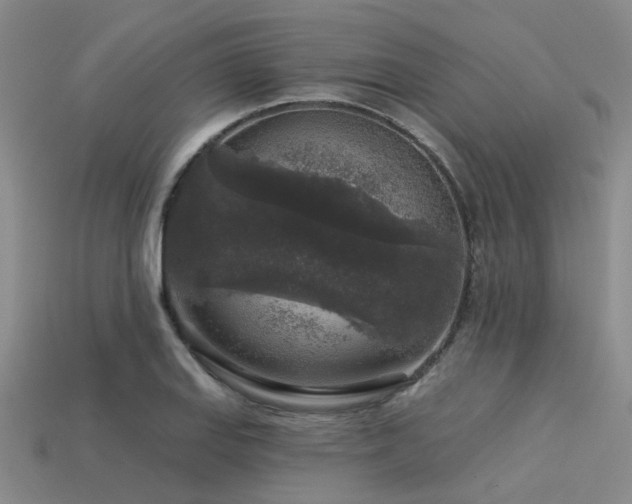 X0000113611127200909181413