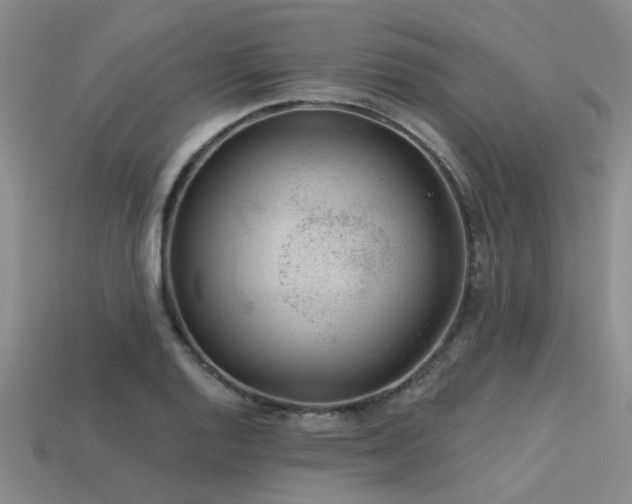 X0000113611128200909181413