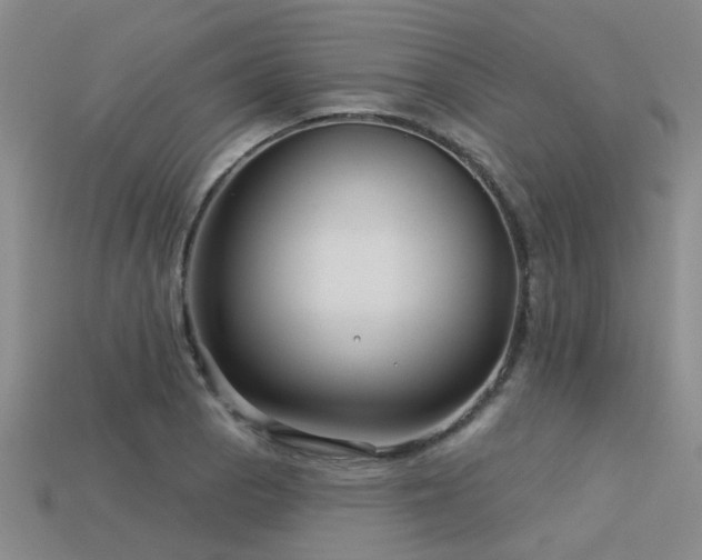X0000113611129200909181413