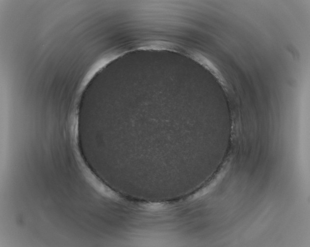 X0000113611130200909181413