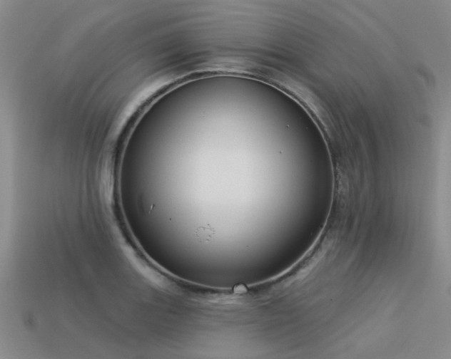 X0000113611131200909181413