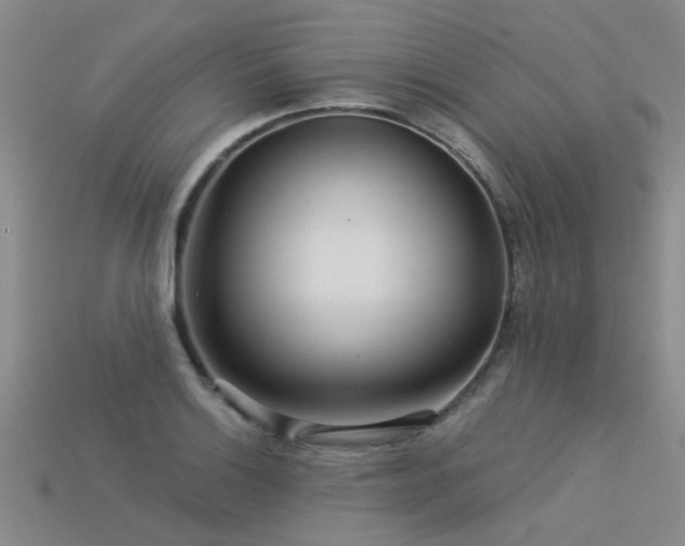 X0000113611132200909181413