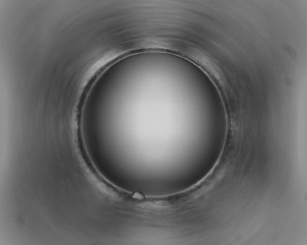 X0000113611133200909181413