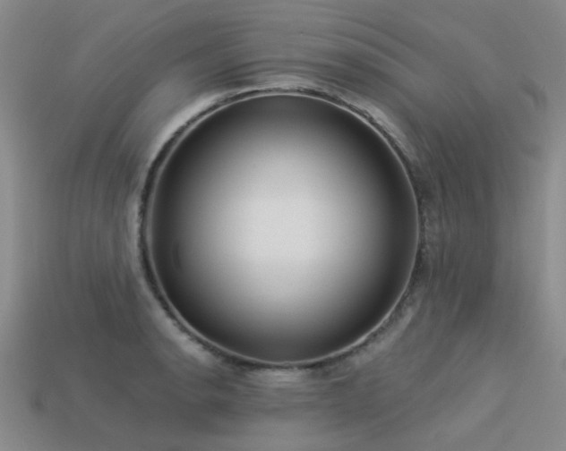 X0000113611134200909181413