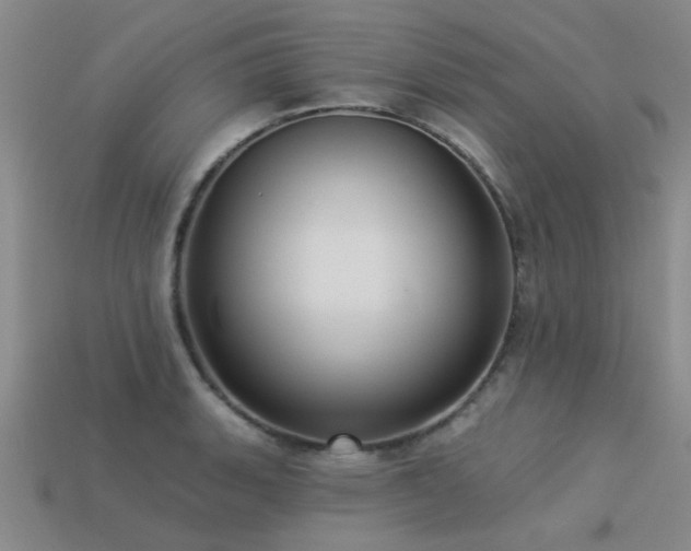 X0000113611135200909181413