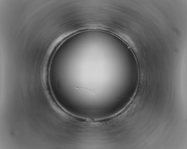 X0000113611136200909181414