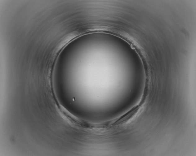 X0000113611137200909181414