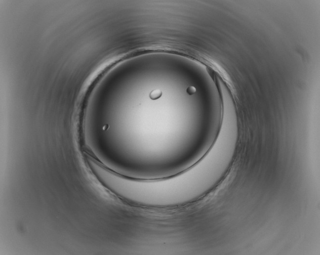 X0000113611138200909181414