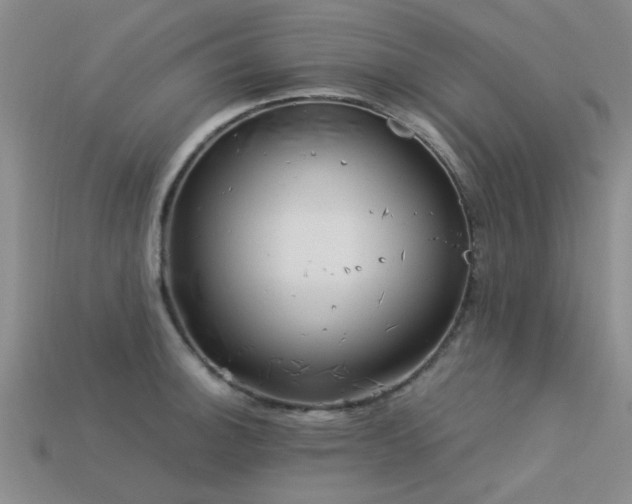 X0000113611140200909181414