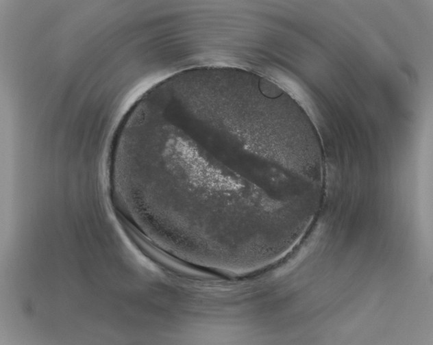 X0000113611141200909181414