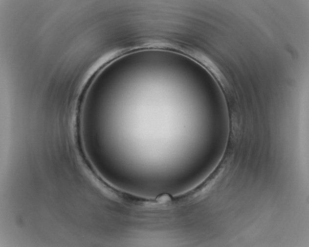 X0000113611142200909181414