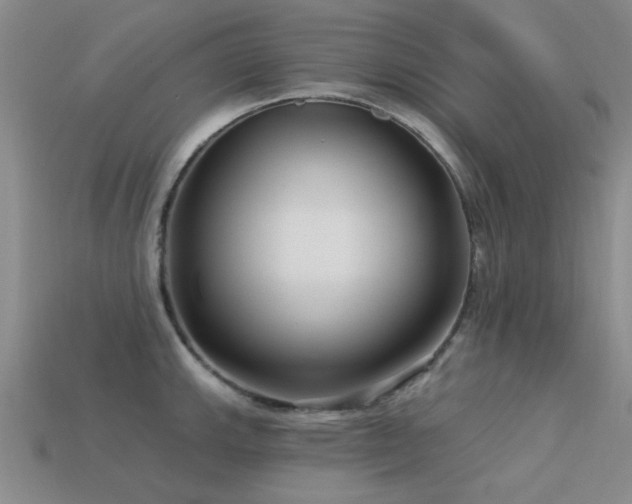 X0000113611143200909181414