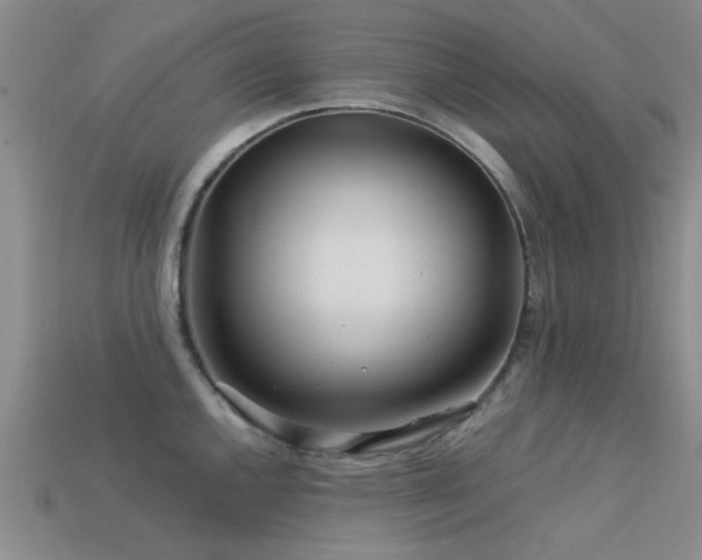 X0000113611144200909181414
