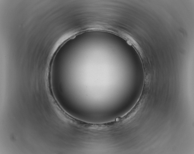 X0000113611146200909181414