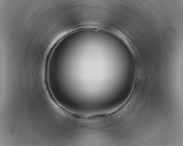 X0000113611147200909181414