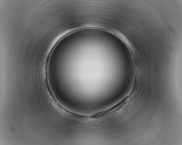 X0000113611148200909181414