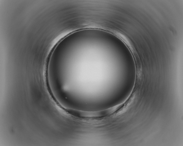 X0000113611149200909181414