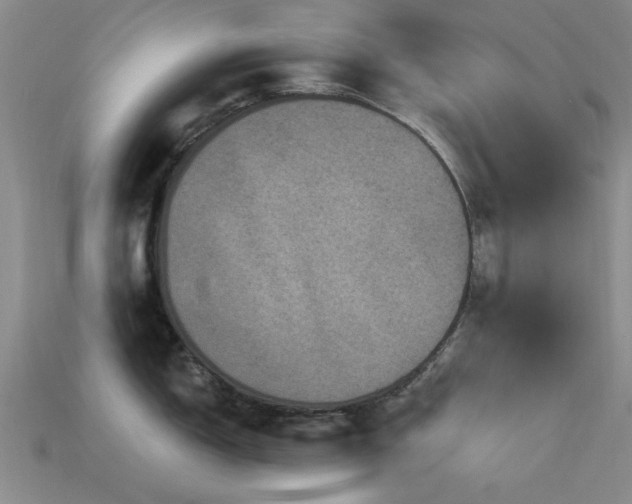 X0000113611150200909181414