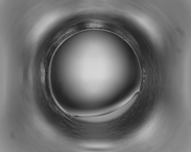 X0000113611151200909181414