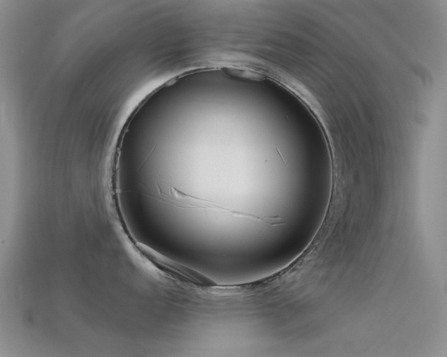 X0000113611152200909181414