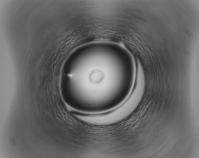 X0000113611153200909181413