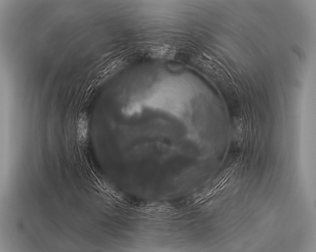 X0000113611154200909181413