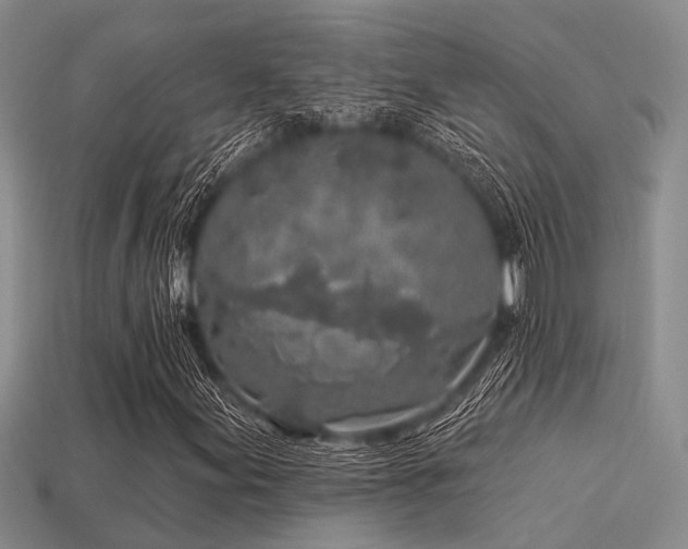 X0000113611155200909181413