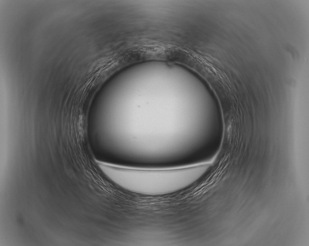 X0000113611156200909181413