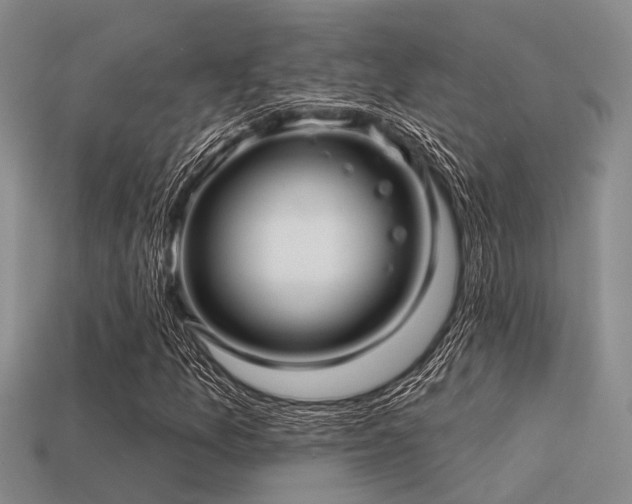 X0000113611157200909181413