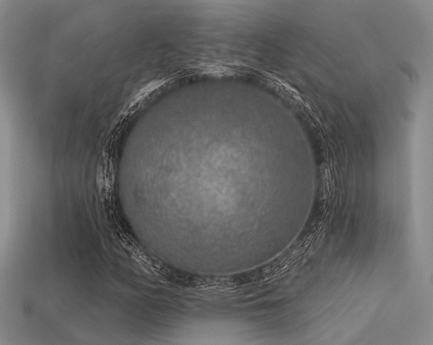 X0000113611158200909181413