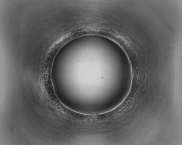 X0000113611159200909181413