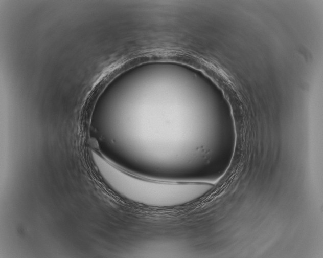X0000113611160200909181413